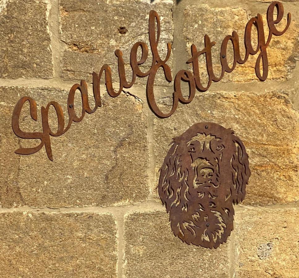 Spaniel Cottage With Views Of Ham Hill, Stoke Sub Hamdon Martock Exterior photo
