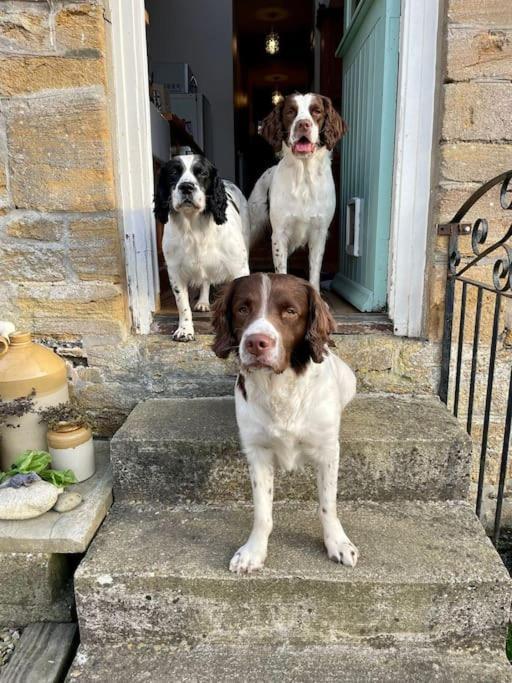 Spaniel Cottage With Views Of Ham Hill, Stoke Sub Hamdon Martock Exterior photo