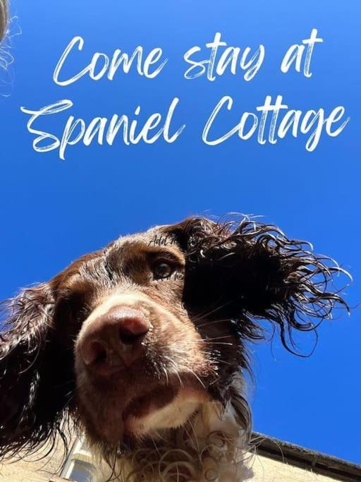 Spaniel Cottage With Views Of Ham Hill, Stoke Sub Hamdon Martock Exterior photo